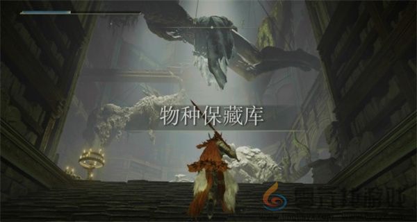 艾尔登法环黄金树幽影老将盖乌斯位置说明(图3)