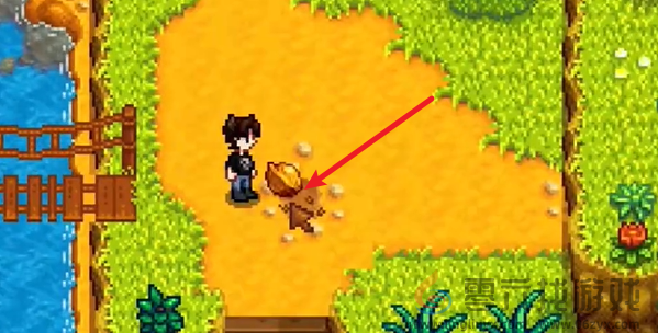 星露谷物语姜岛北部金核桃在哪(图8) 星露谷物语姜岛北部金核桃在哪(图8)