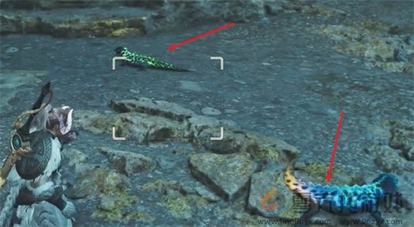 怪物猎人荒野燐炎领蜥具体位置分享(图3) 怪物猎人荒野燐炎领蜥具体位置分享(图3)